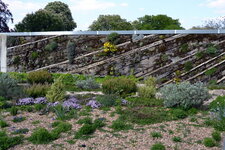 Mur végétal