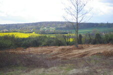Bulldozer 