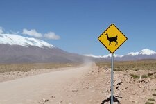 Désert bolivien