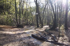 Sous-bois dans le colorado provençal