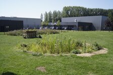 Mare et semis prairial