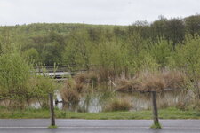 Marais