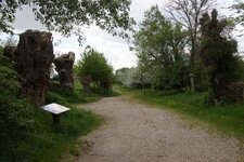Le chemin des trognes