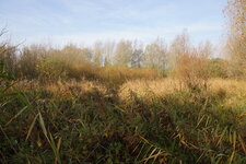 Marais de la Commandance