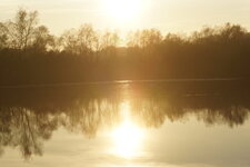 Marais de la Commandance