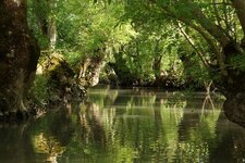 Canal de circulation au coeur du marais