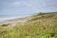 Dune côtière du Mont Saint Frieux
