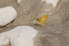 La Virgule