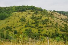 R.N.N. des grotte et pelouses d