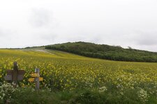 Le Mont de Couple