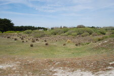 Panne arrière dunaire