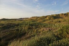 Dunes d