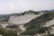 La Dune Marchand