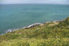 Falaise fleurie du Cap gris nez