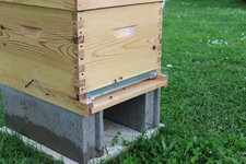 Ruche et ses abeilles