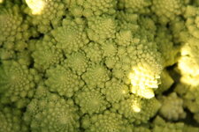 Romanesco