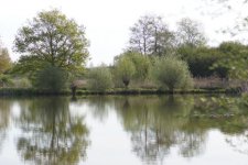 Les étangs du Romelaëre dans l