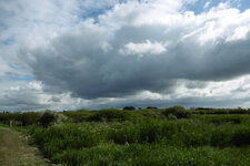 Marais du Steir vue générale (Znieff)