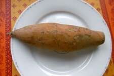 Patate douce à chair blanche