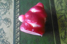 Oca du Pérou