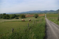 Paysage du Pilat