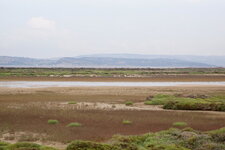 Sansouire