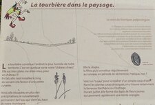 La tourbière