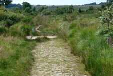 Tourbières de Brasparts