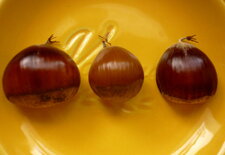 Trois variétés de chataignes