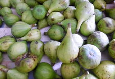 Figues blanches