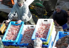 Retour de pêche au Guilvinec