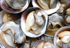 Amandes de mer