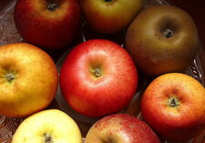 Pommes locales