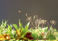 La vie des quais en automne