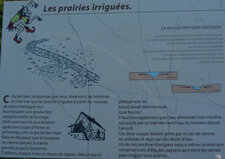 Les prairies irriguées