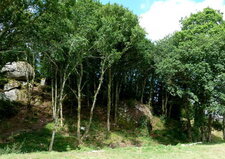 Forêt de Huelgoat.