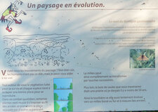 Paysage en évolution