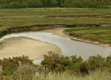 Marais et vasière de la Mer Blanche 