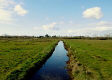 Le polder du Treustel (île Tudy)