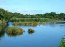Marais de Mouterlin (Fouesnant)