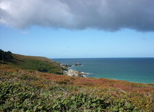 La lande en automne