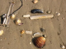 Bijoux marins