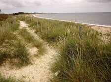 Cordon dunaire de Mousterlin