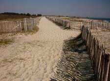 Dunes maritimes