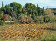 Vignoble de Bandol
