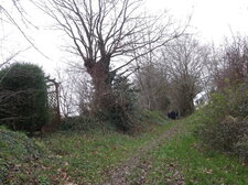 Chemin creux, talus qui date du Moyen Age