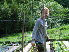 Maman au potager