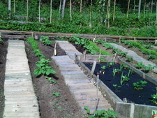 Potager familial