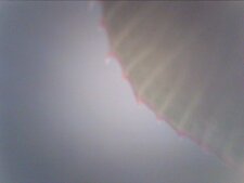 2013-10-16-103919