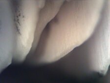 Lamelles de champignon observée au microscope